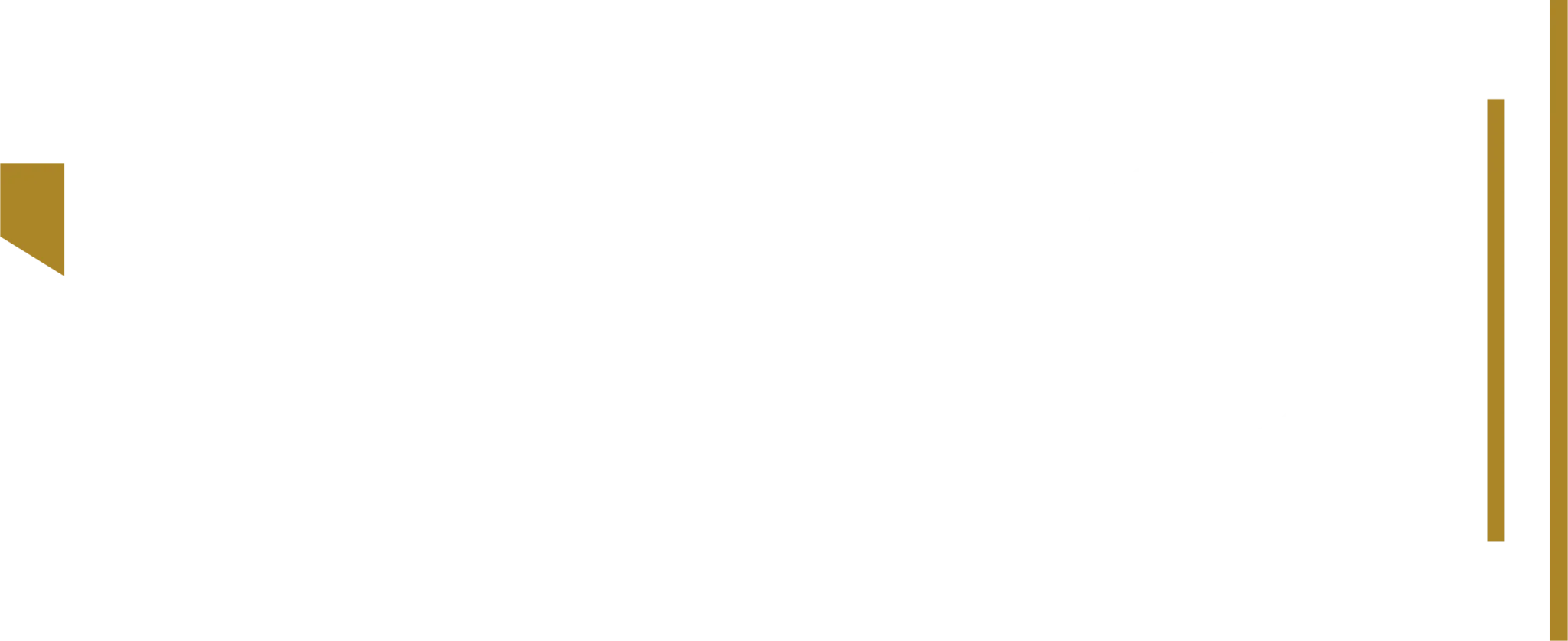 Altbilgi Logosu